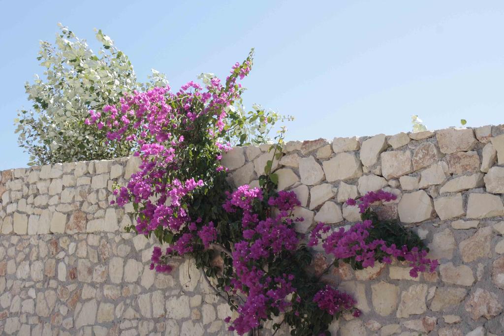 Crete View Marathi (Crete)